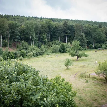 Bremerhof Szálloda Kaiserslautern