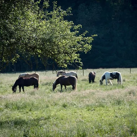 布雷默霍夫酒店 凯撒斯劳滕