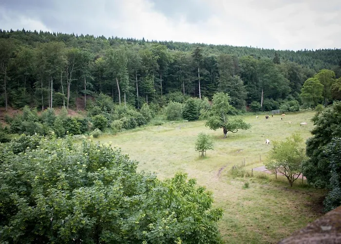 布雷默霍夫酒店 酒店 凯撒斯劳滕