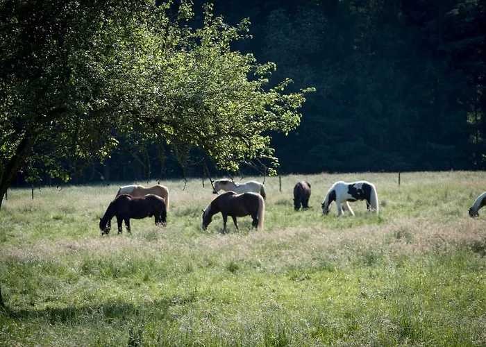 布雷默霍夫酒店 凯撒斯劳滕